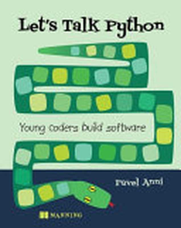 A Pythonic Adventure： From Python basics to a working web app（Pavel Anni）（Manning Publications 2023）