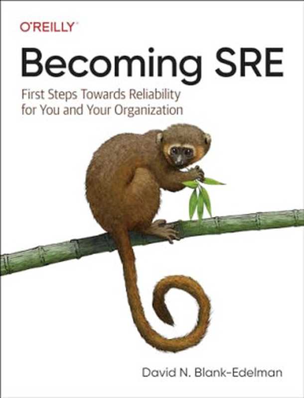 Becoming SRE： First Steps Toward Reliability for You and Your Organization（David N. Blank-Edelman）（O