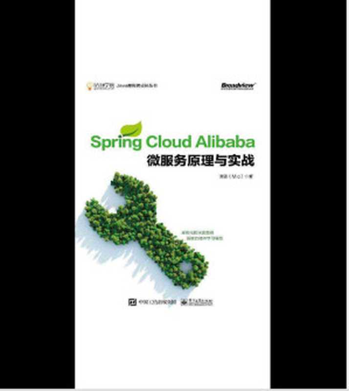 Spring Coud Alibaba微服务原理与实战（谭锋）（2020）