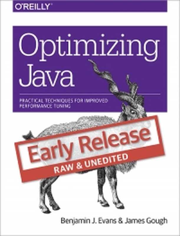 Optimizing Java： Practical Techniques for Improved Performance Tuning（Benjamin J Evans， James Gough）（O