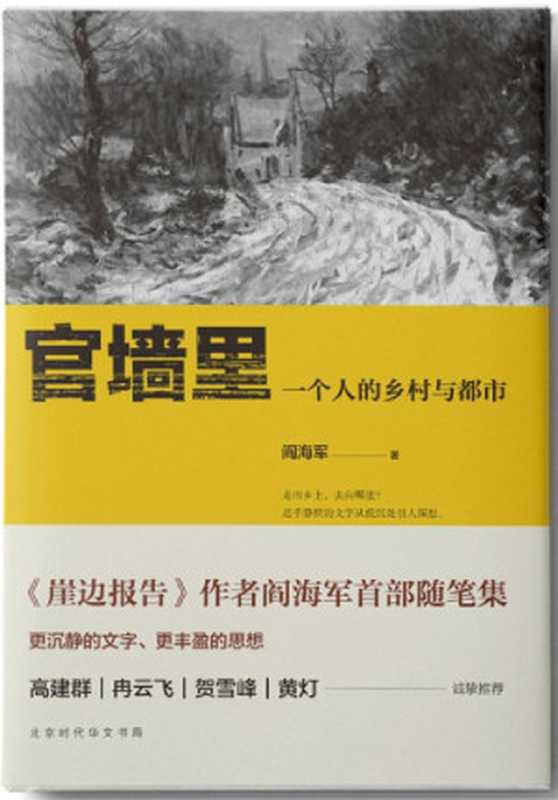 官墙里：一个人的乡村与都市（阎海军）（北京时代华文书局 2017）