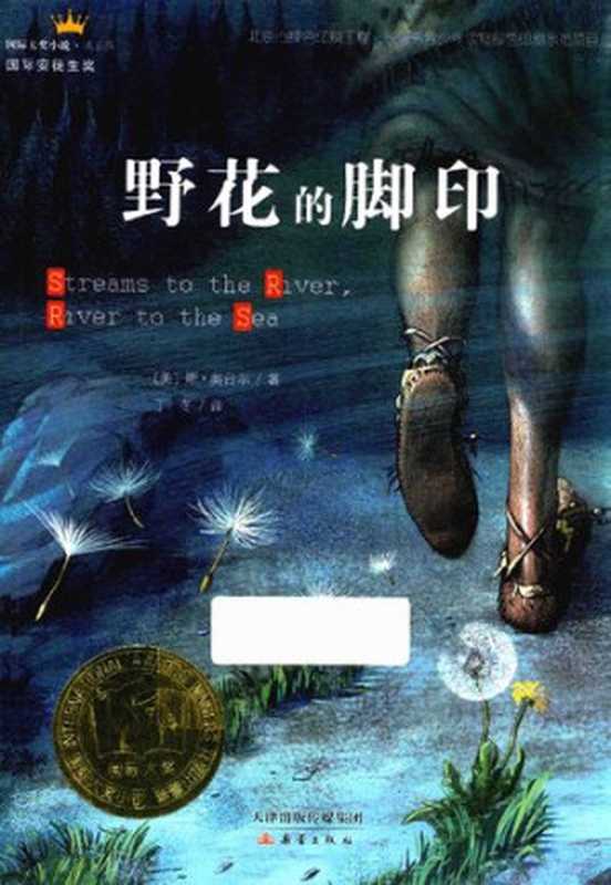 野花的脚印【儿童小说】（[美] 斯·奥台尔 著; 丁冬 译）（新蕾出版社 2017）