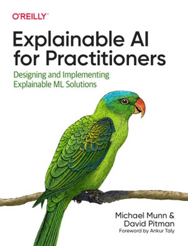 Explainable AI for Practitioners（Michael Munn;David Pitman;）（2022）