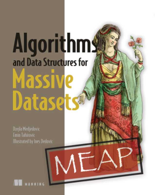 Algorithms and Data Structures for Massive Datasets (MEAP v8)（Dzejla Medjedovic， Emin Tahirovic， Ines Dedovic）（Manning Publications 2022）