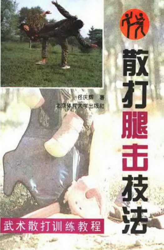 散打腿击技法（佟庆辉著）（2009）