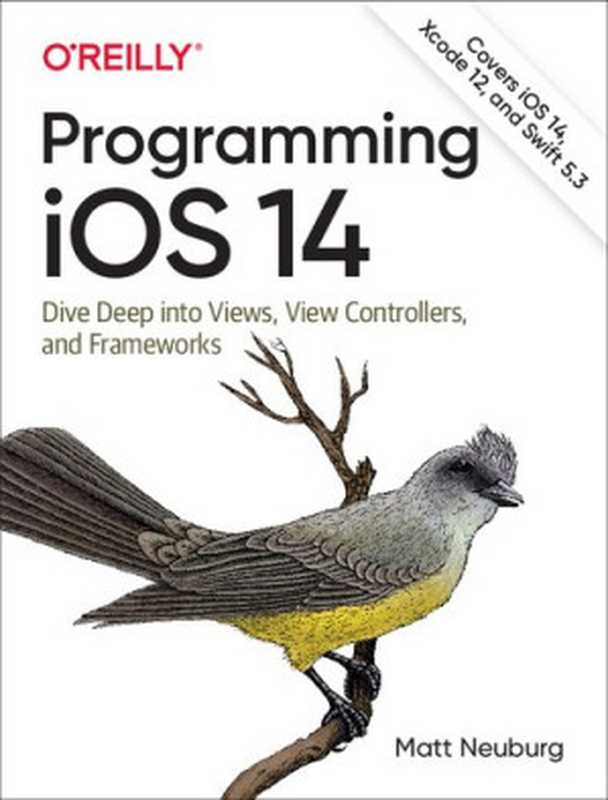 Programming iOS 14： Dive Deep into Views， View Controllers， and Frameworks（Matt Neuburg）（O