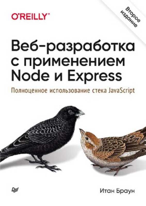 Веб-разработка с применением Node и Express. Полноценное использование стека JavaScript（Браун Итан）（Издательский дом  Питер  2021）