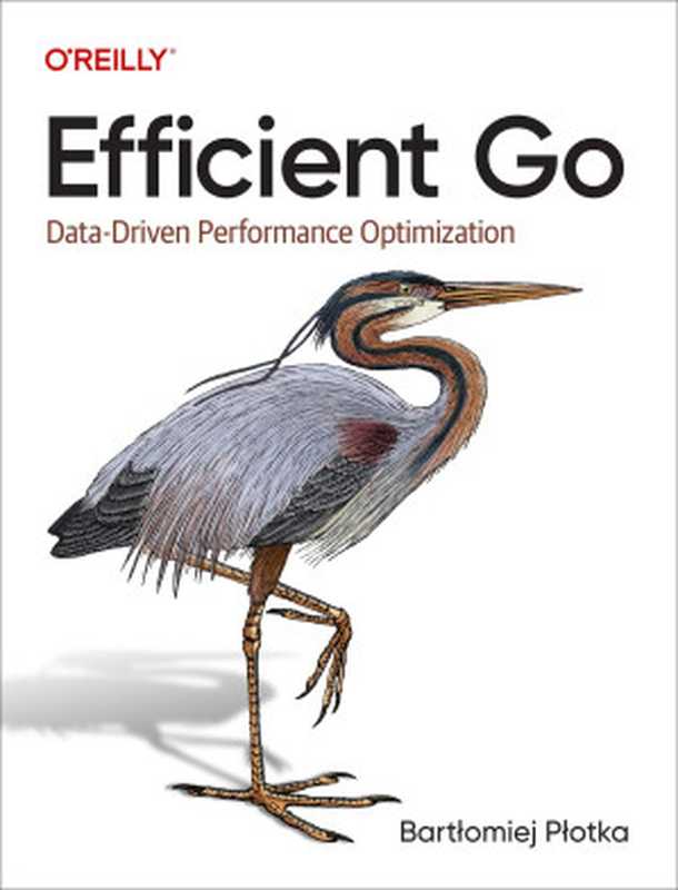 Efficient Go： Data-Driven Performance Optimization（Bartlomiej Plotka）（O