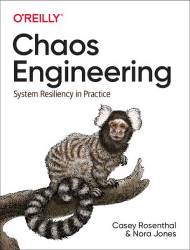 Chaos Engineering： System Resiliency in Practice（Casey Rosenthal， Nora Jones）（O