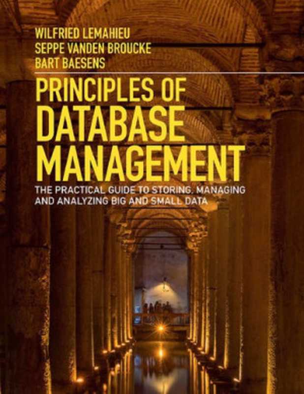 Principles of Database Management ： The Practical Guide to Storing， Managing and Analyzing Big and Small Data（Wilfried Lemahieu， Seppe vanden Broucke， Bart Baesens）（Cambridge University Press 2018）