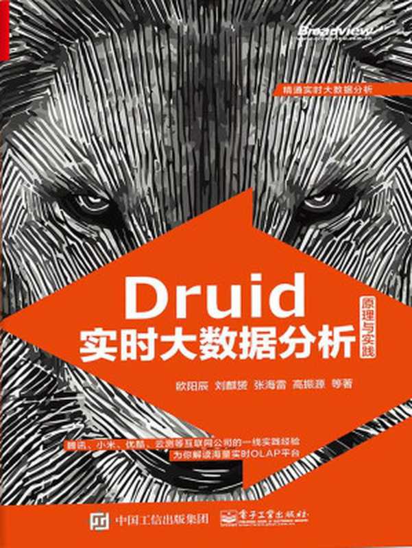 Druid实时大数据分析原理与实践（欧阳辰 刘麒赟 张海雷 高振源 等）（电子工业出版社 2017）