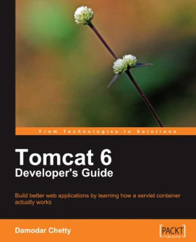 Tomcat 6 Developer