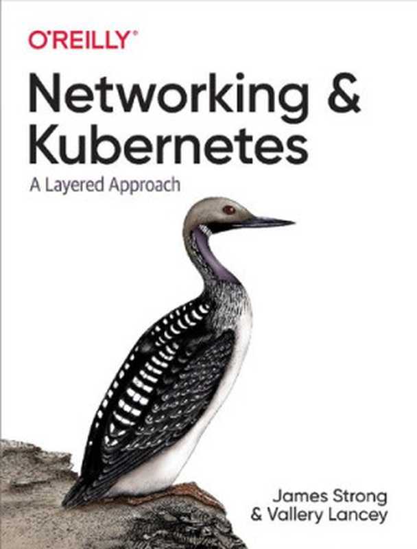 Networking and Kubernetes： A Layered Approach（James Strong， Vallery Lancey）（O