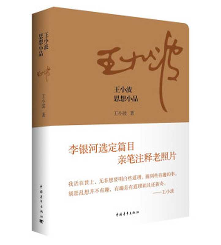 王小波思想小品（王小波）（中国青年出版社 2015）