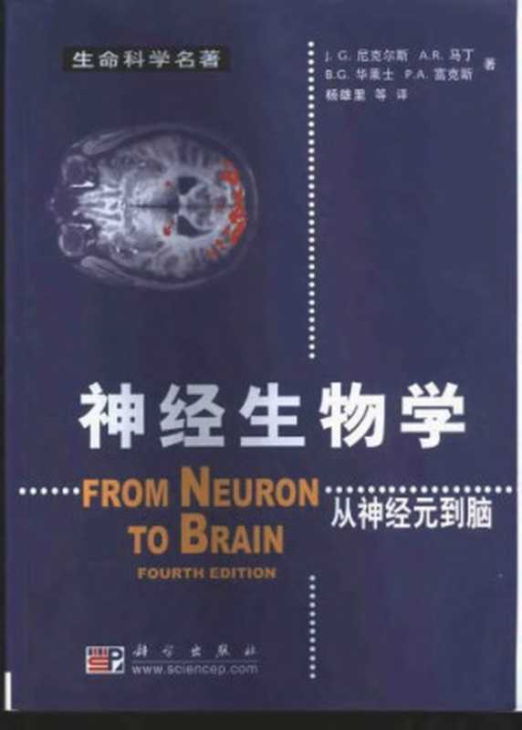 神经生物学（John G. Nicholls， A. Robert Martin， Bruce G. Wallace， Pawl A. Fuchs）（科学出版社 2003）