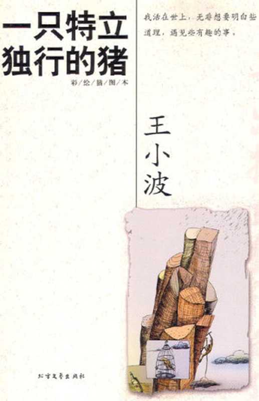 一只特立独行的猪（王小波）（epub掌上书苑 2010）