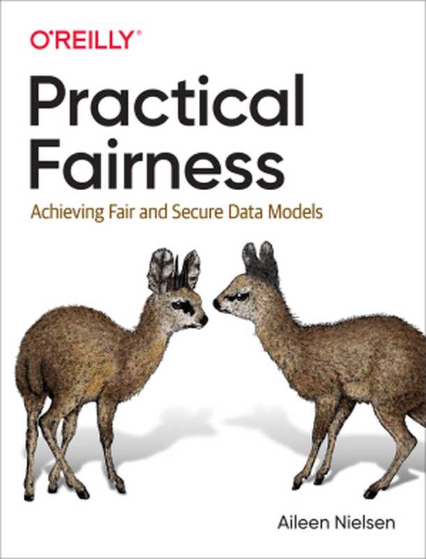 Practical Fairness： Achieving Fair and Secure Data Models（Aileen Nielsen）（O