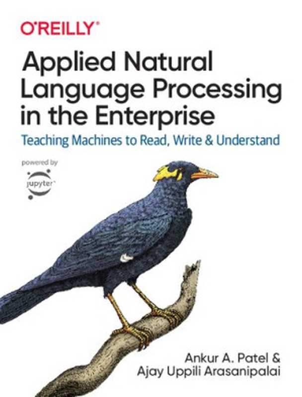 Applied Natural Language Processing in the Enterprise： Teaching Machines to Read， Write， and Understand（Ankur A. Patel， Ajay Uppili Arasanipalai）（O