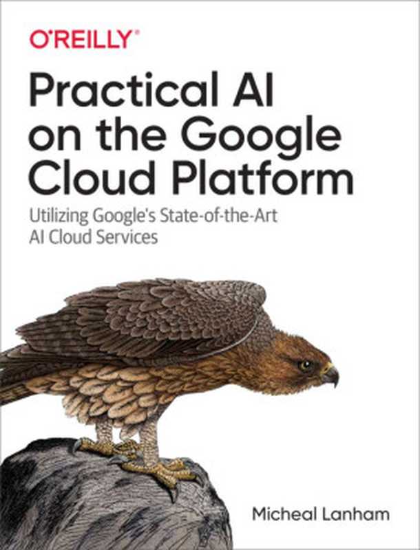 Practical AI on the Google Cloud Platform（Micheal Lanham）（O