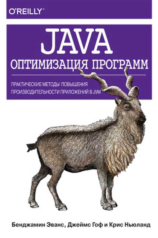 Java - Оптимизация программ - Практические методы повышения производительности приложений в JVM（Бенджамин Эванс， Джеймс Гоф， Крис Ньюланд）（Диалектика 2019）