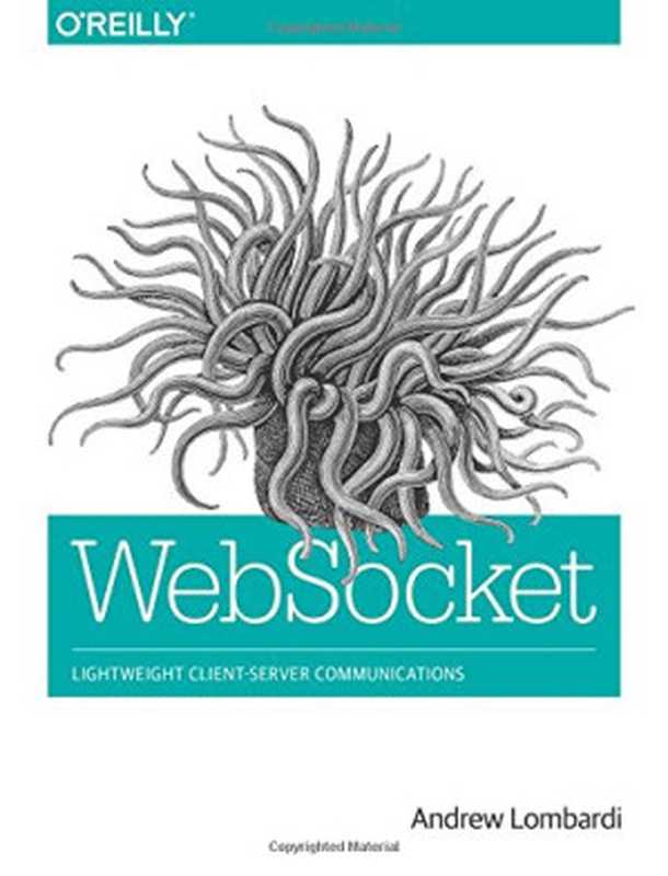 WebSocket： Lightweight Client-Server Communications（Andrew Lombardi）（O