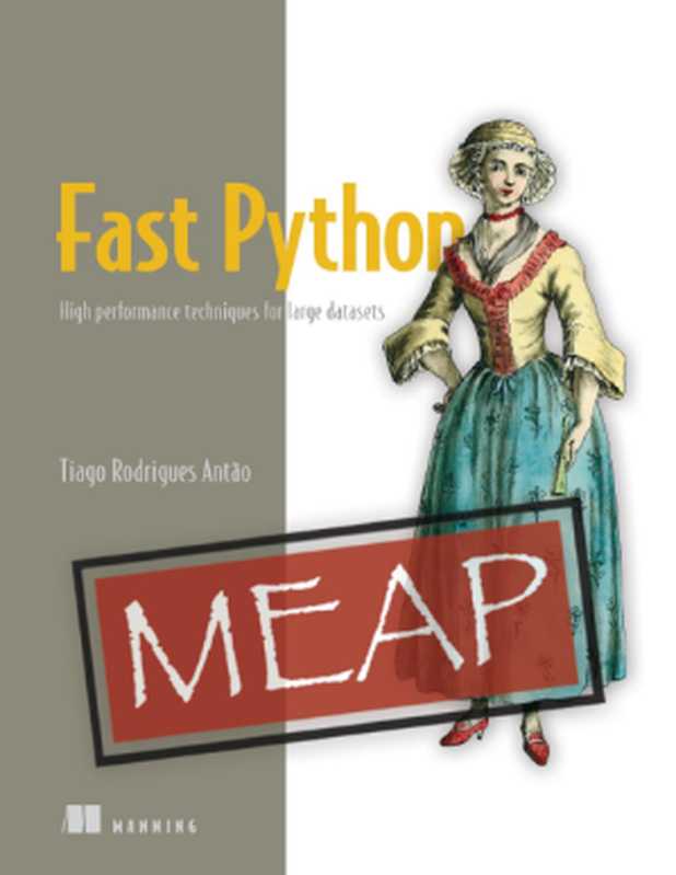 Fast Python： High performance techniques for large datasets (MEAP V10)（Tiago Rodrigues Antao）（Manning Publications 2022）