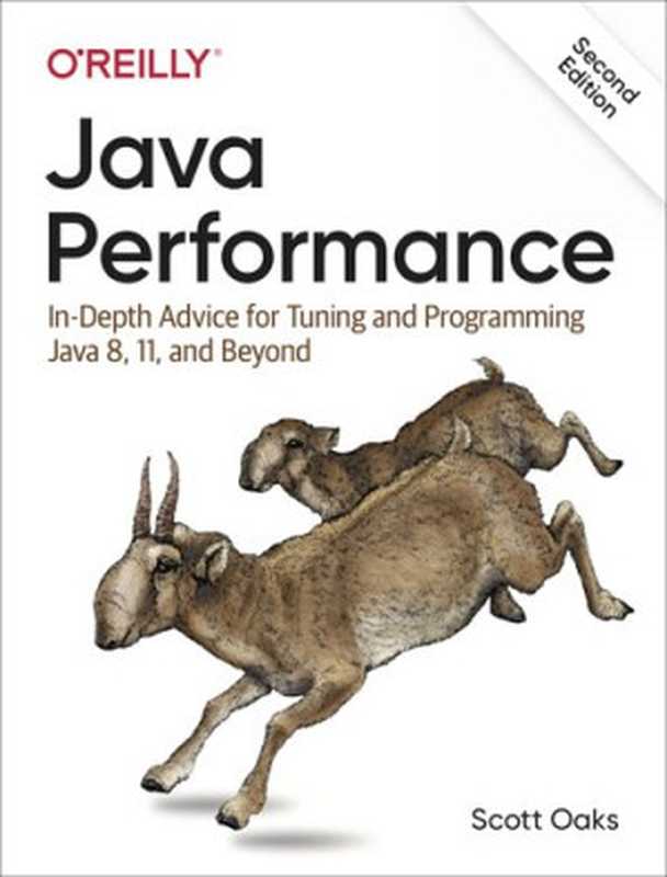 Java Performance（Scott Oaks）（O