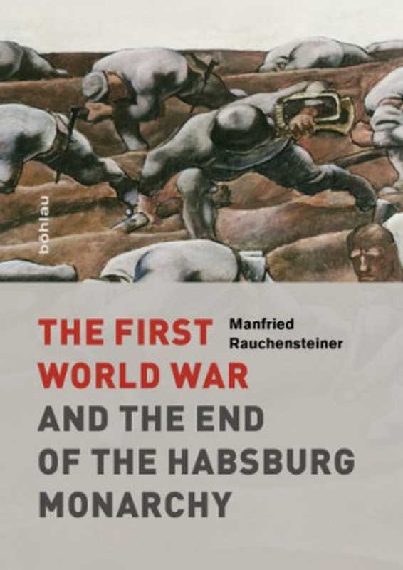 The First World War and the End of the Habsburg Monarchy， 1914-1918（Manfried Rauchensteiner， Alex J. Kay， Anna Güttel-Bellert）（Boehlau Verlag 2014）