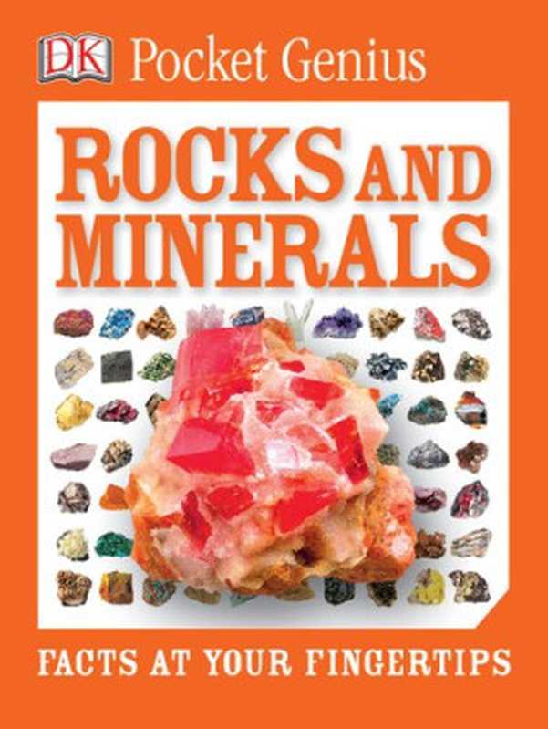 Rocks and Minerals ： Facts at Your Fingertips（DK; Dorling Kindersley）（DK， Dorling Kindersley 2016）