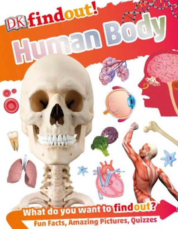 DKfindout! Human Body（Bipasha Choudhury）（DK Publishing 2017）