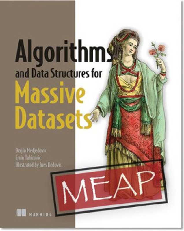 Algorithms and Data Structures for Massive Datasets (MEAP v03)（Dzejla Medjedovic， Emin Tahirovic）（Manning Publications 2021）