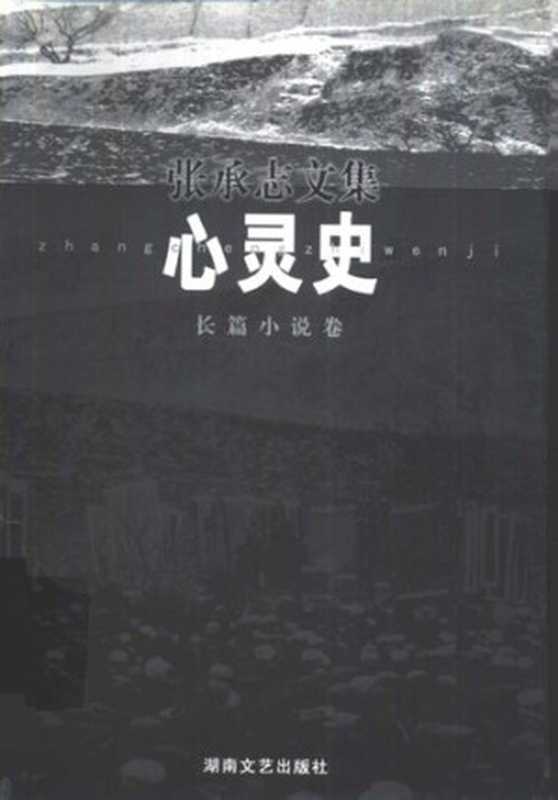 心灵史：长篇小说卷（张承志）（湖南文艺出版社 1998）