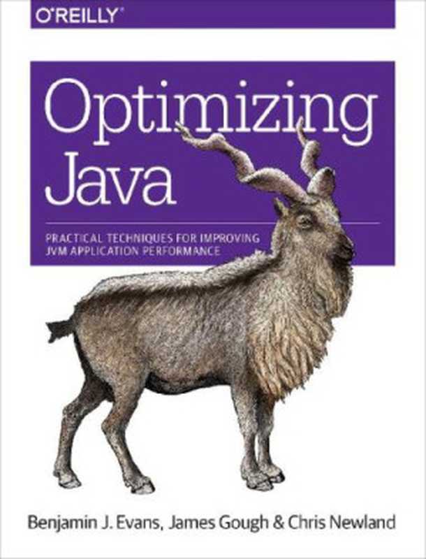 Optimizing Java（Benjamin J. Evans， James Gough， Chris Newland）（O’Reilly Media， Inc. 2018）