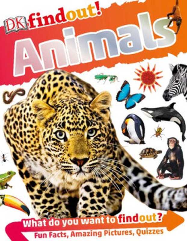 DKfindout! Animals（Andrea Mills）（DK Children 2016）