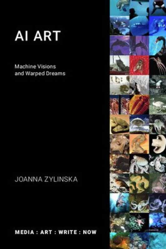 AI Art： Machine Visions and Warped Dreams (Media： Art： Write： Now)（Joanna Zylinska）（Open Humanities Press CIC 2020）