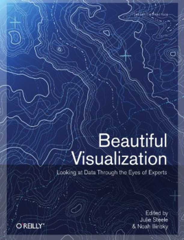 Beautiful Visualization： Looking at Data through the Eyes of Experts（Julie Steele， Noah Iliinsky）（O