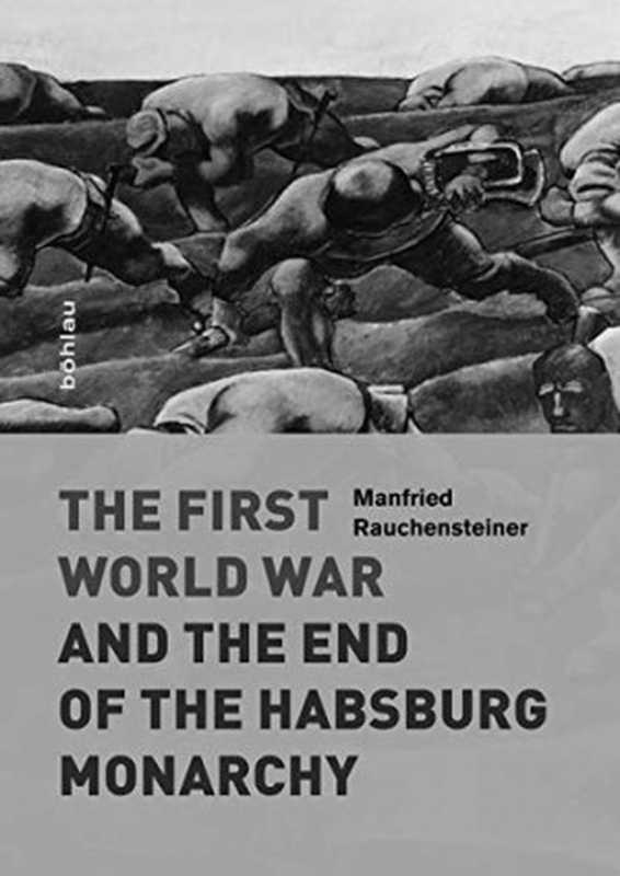 The First World War and the End of the Habsburg Monarchy， 1914-1918（Manfried Rauchensteiner）（Bohlau Verlag 2014）