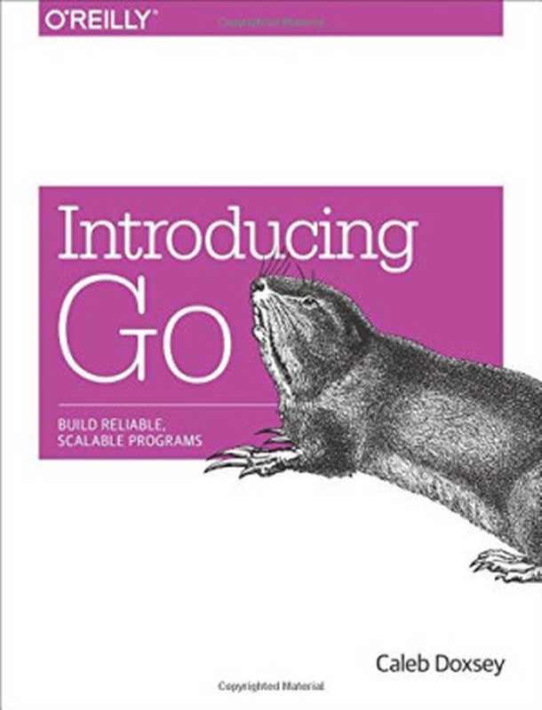 Introducing Go： Build Reliable， Scalable Programs（Caleb Doxsey）（O