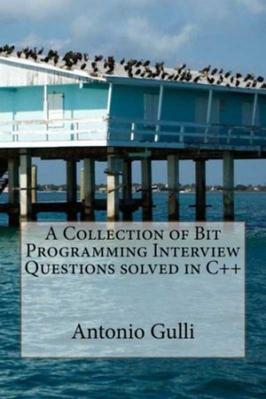 A Collection of Bit Programming Interview Questions solved in C++（Dr Antonio Gulli）（CreateSpace Independent Publishing Platform 2014）