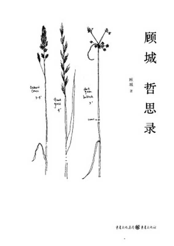 顾城哲思录（顾城）（重庆出版社 2015）