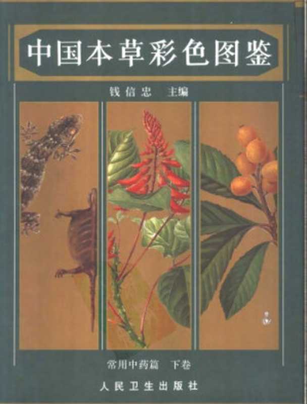 中国本草彩色图鉴（下卷）（钱信忠）（人民卫生出版社 1995）