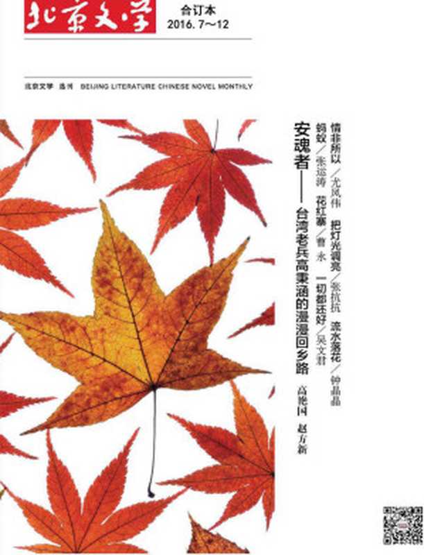 北京文学·中篇小说月报 月刊 2016年下半年合订本（2016.7-12期）（北京文学·中篇小说月报）（2017）