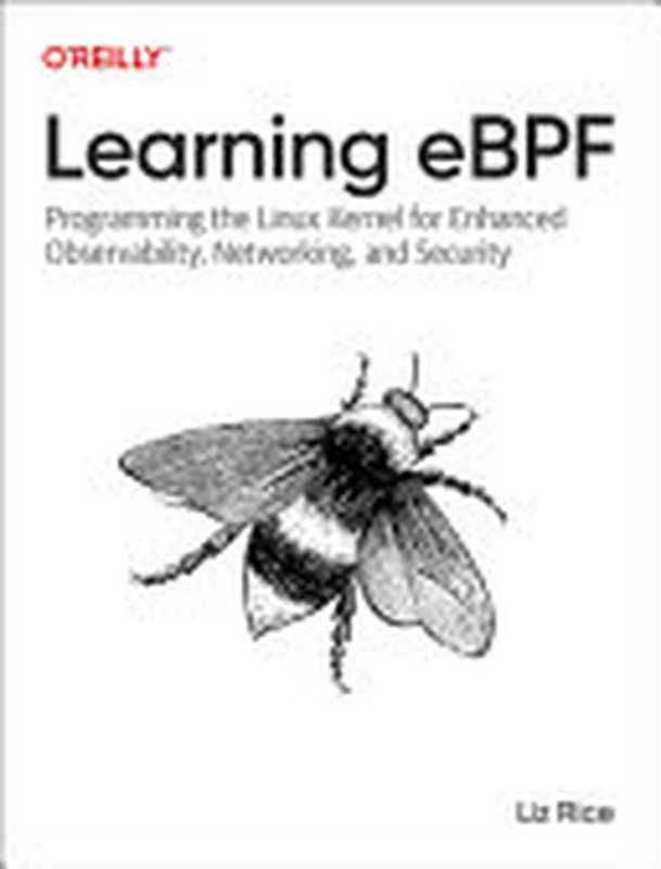 Learning eBPF： Programming the Linux Kernel for Enhanced Observability， Networking， and Security（Liz Rice）（O