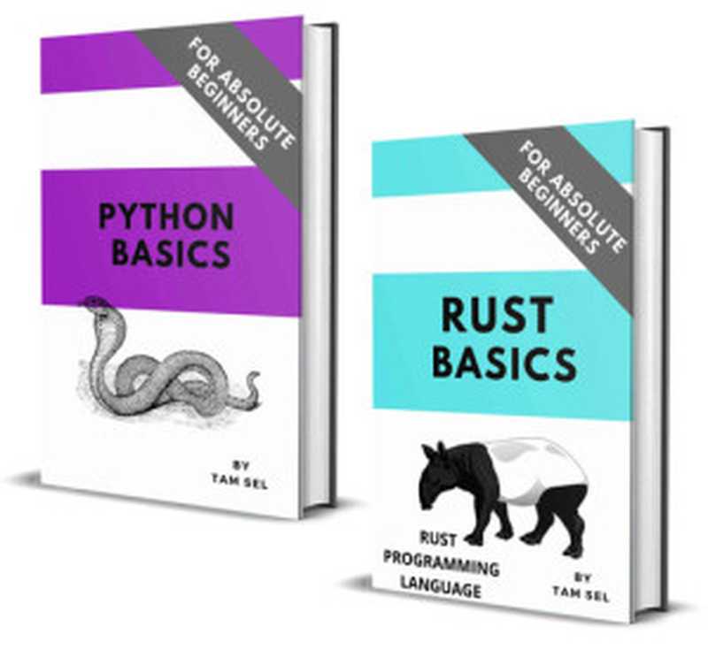 Rust and Python Coding Basics： For Absolute Beginners（Tam Sel）（2021）