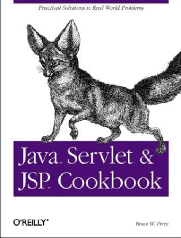 Java Servlet & JSP Cookbook（Bruce W. Perry）（O