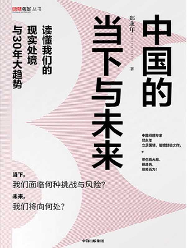 中国的当下与未来 读懂我们的现实处境与30年大趋势（郑永年 [郑永年]）（中信出版集团 2019）