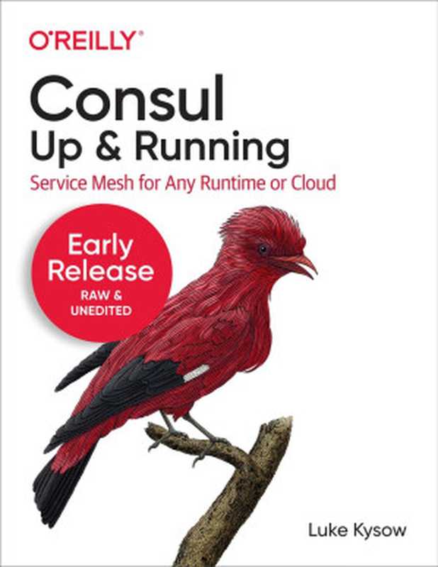 Consul： Up and Running (Fifth Early Release)（Luke Kysow）（O