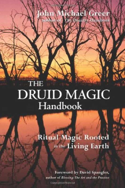 The Druid Magic Handbook： Ritual Magic Rooted in the Living Earth（John Michael Greer）（Red Wheel Weiser 2008）