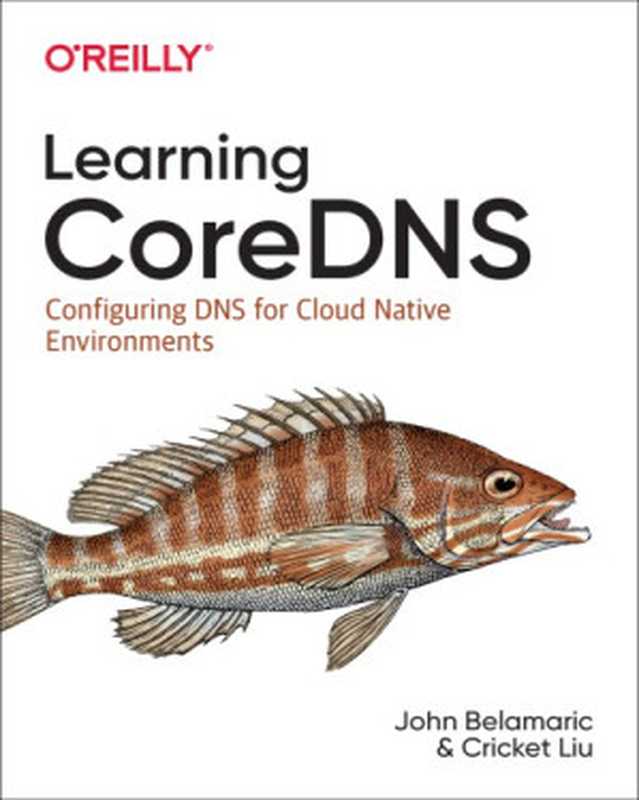 Learning Coredns： Configuring DNS for Cloud Native Environments（John Belamaric， Cricket Liu）（O’Reilly Media 2019）