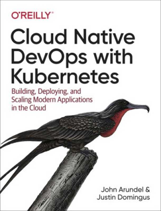 Cloud Native DevOps with Kubernetes（Arundel， John;Domingus， Justin）（O